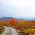 Apartament Fjellstova Storehorn Ulsak