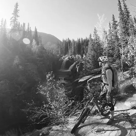 Fjellstova Storehorn Apartamento